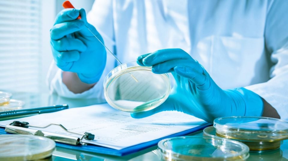 Llega a España un nuevo fármaco contra infecciones multirresistentes a los antibióticos