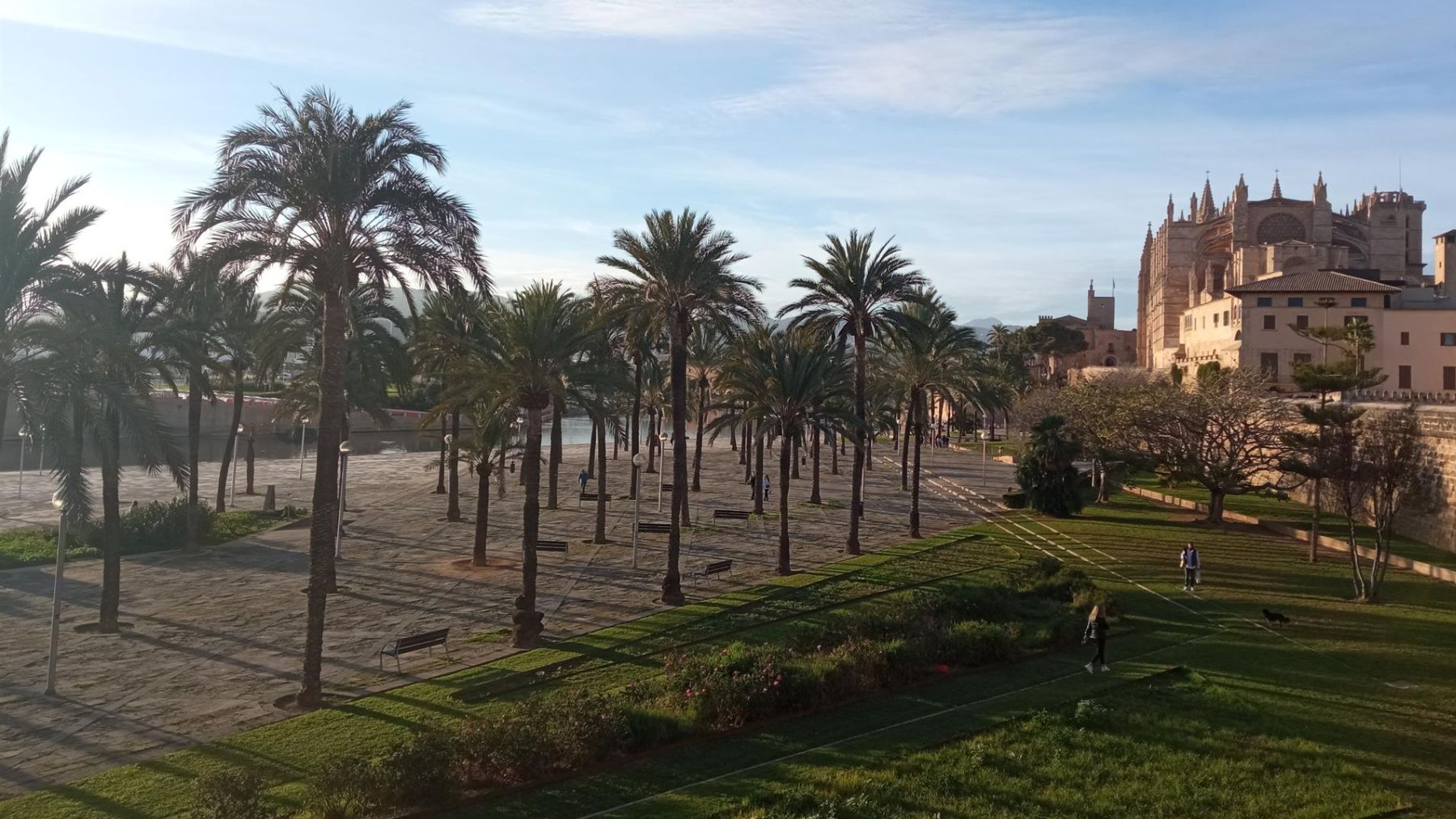 Vista de la Catedral de Mallorca y el Parc de la Mar en un día soleado en Palma.