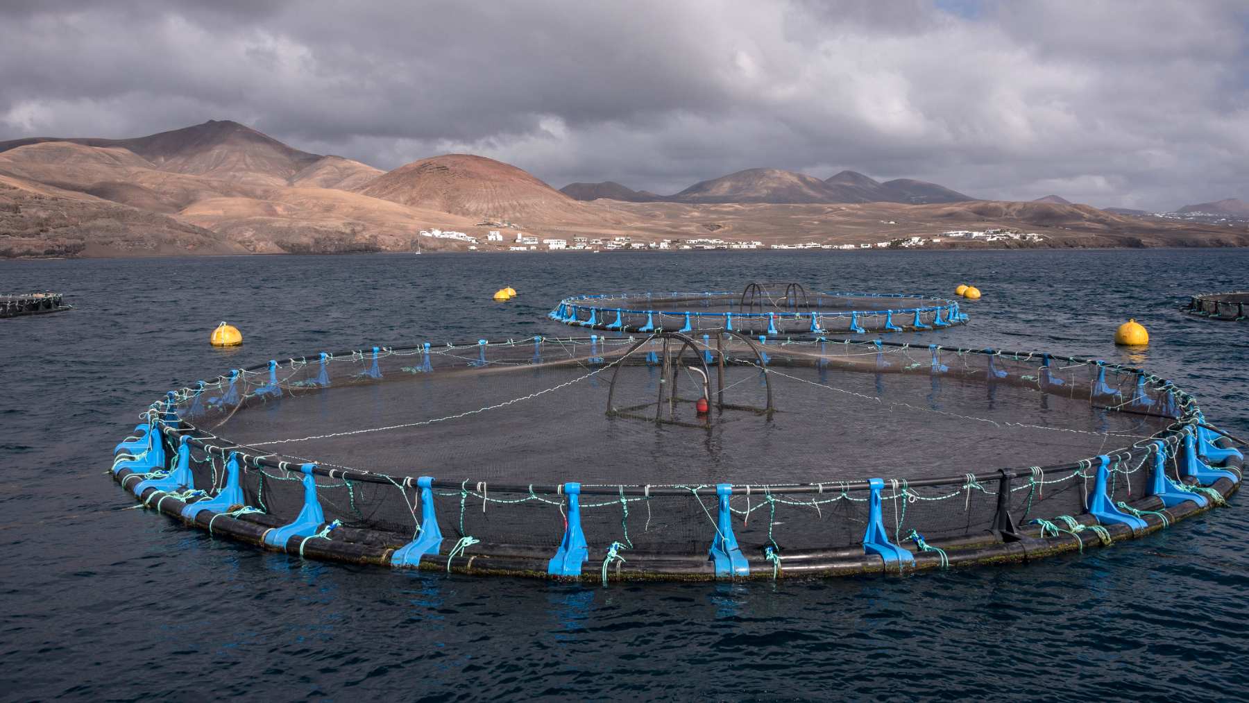 Instalación de acuicultura en la costa de Cartagena.