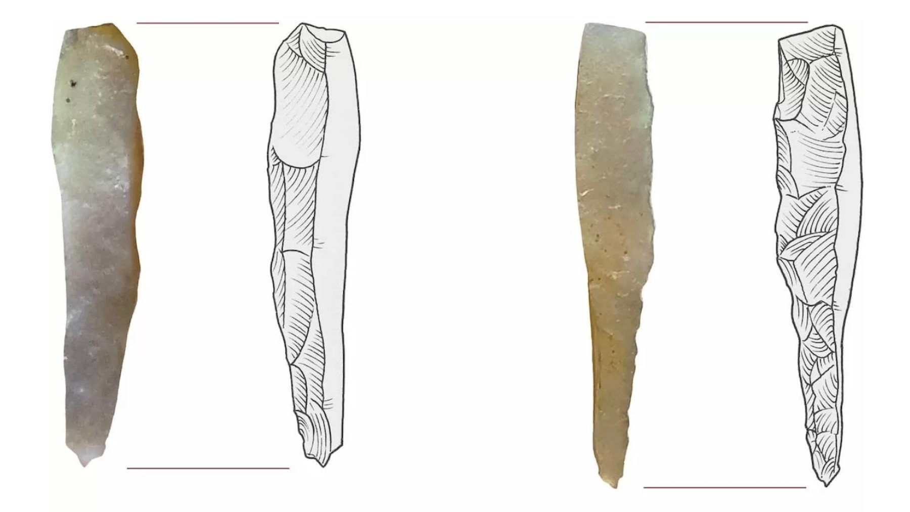 Herramientas mayas para tatuar descubiertas en Belice. Imagen: W.J. Stemp / C. Helmke.
