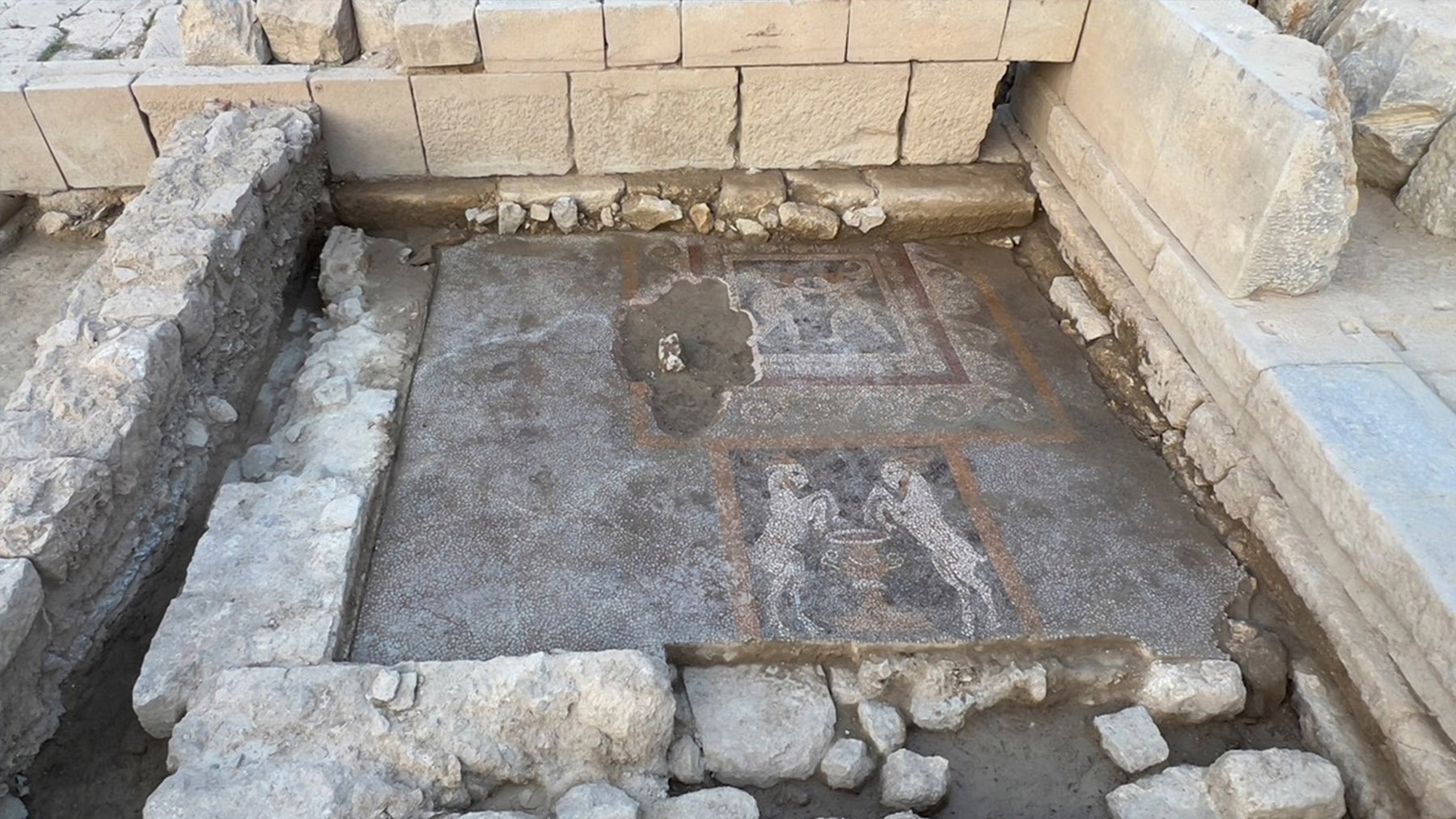 Mosaicos del siglo III a. C. hallados en la ciudad de Teos. Foto: Proyecto Arqueológico Teos.