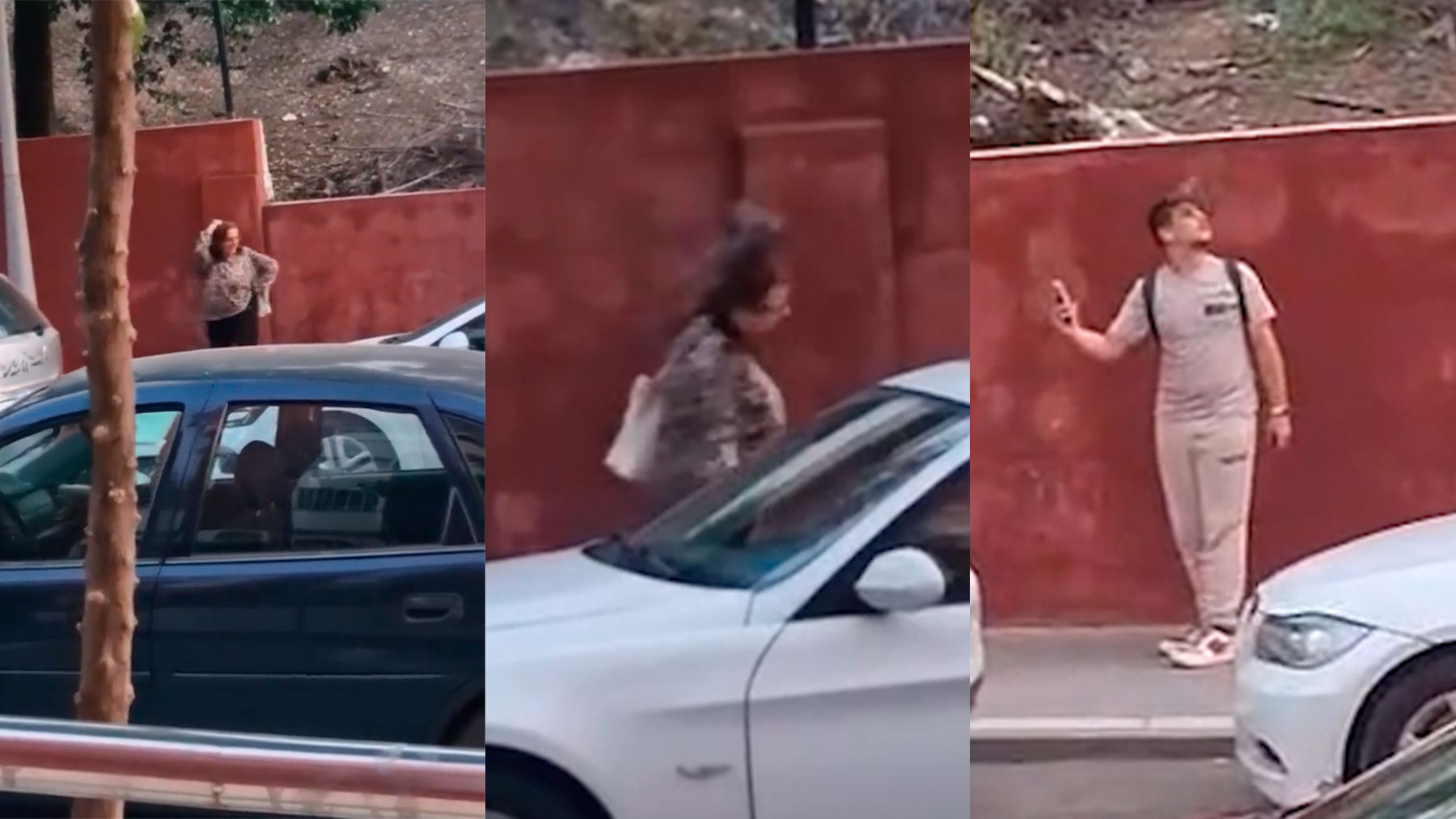 Desconcierto total en Linares (Jaén): ¿Por qué los pájaros llevan días atacando a la población?