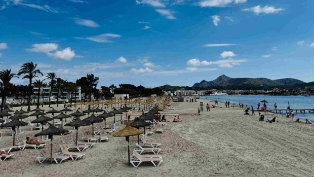 playa de alcúdia