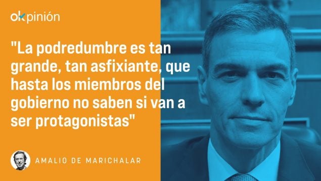 Pedro Sánchez