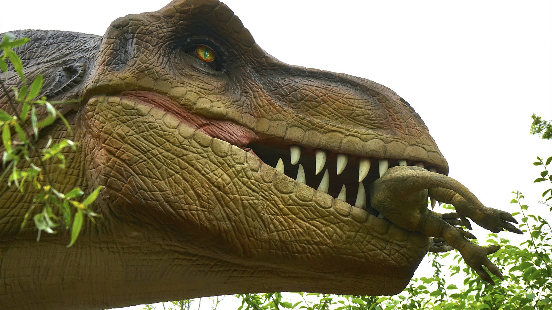 Maqueta del T-Rex. Foto: Pexels.