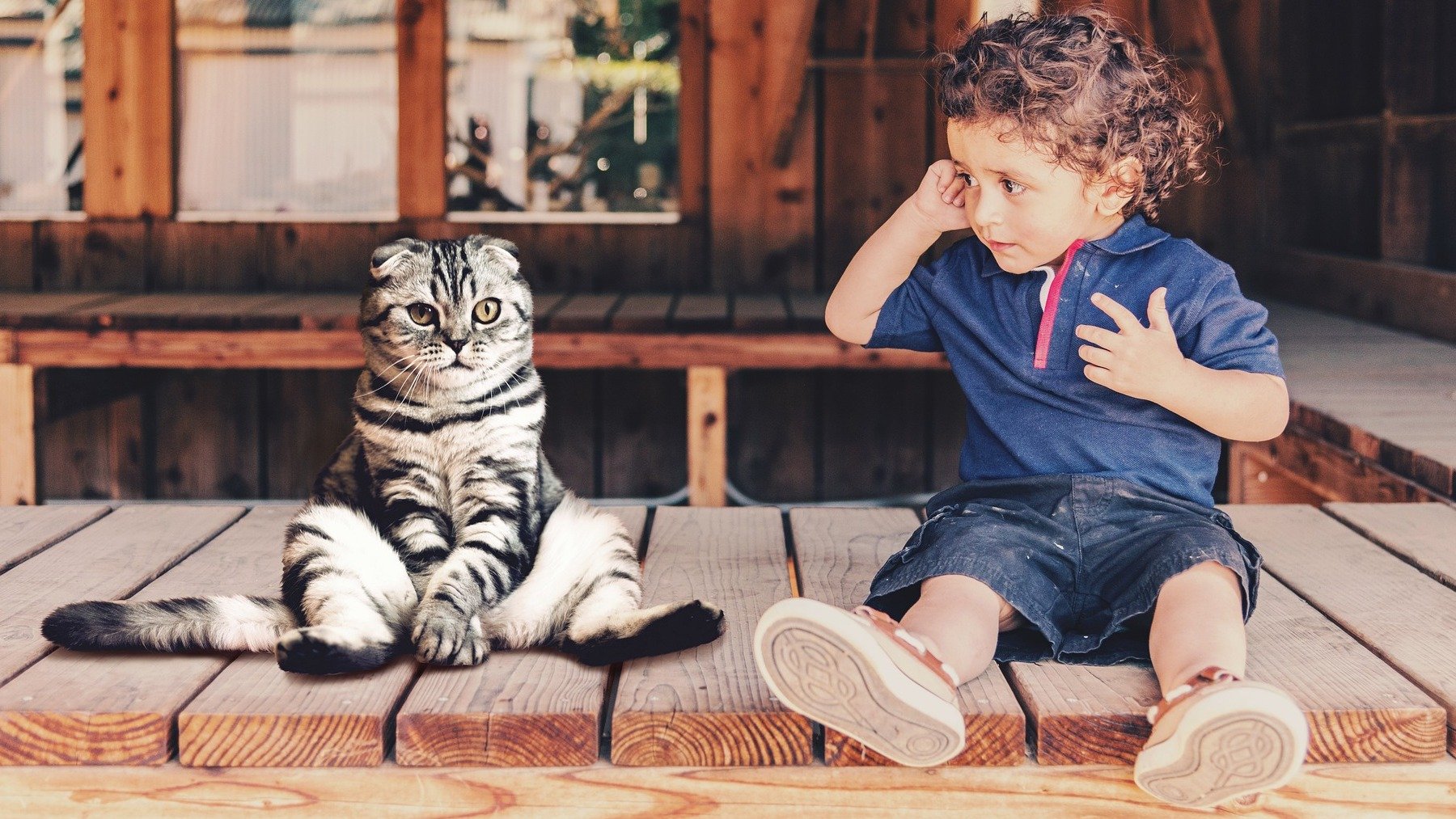 Niño con un gato.