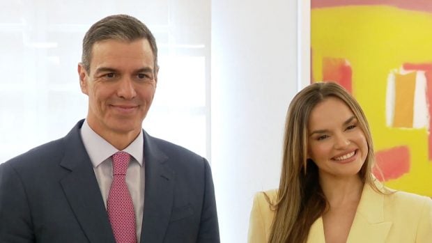RTVE, Eurovisión 2025, Palestina, Gaza, Israel, Melody, TVE, Diva, Pedro Sánchez, TVE