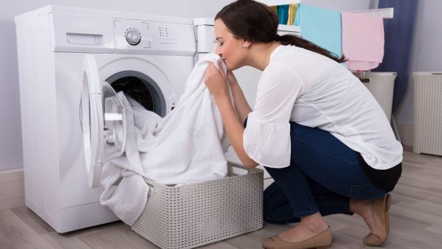 Truco eliminar pelos perro ropa