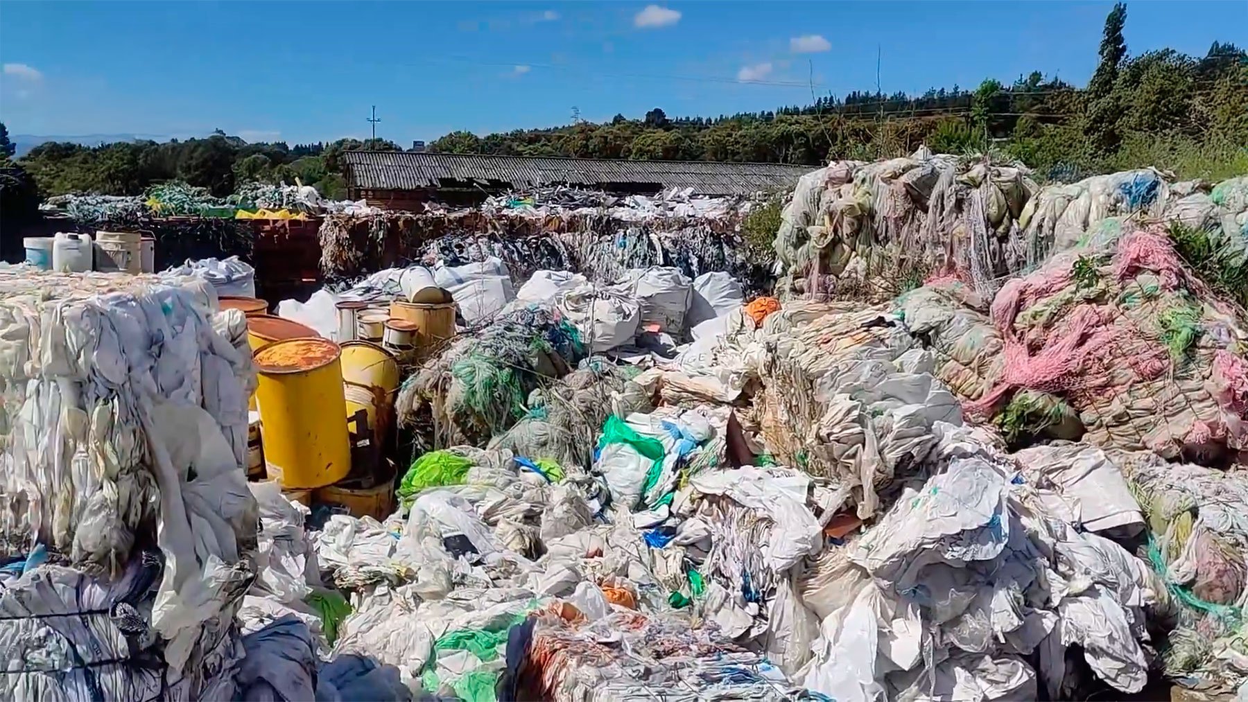 BASURA (1)