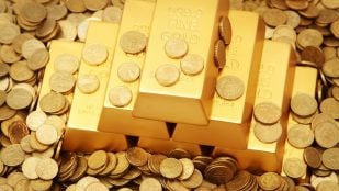 Fiebre del oro