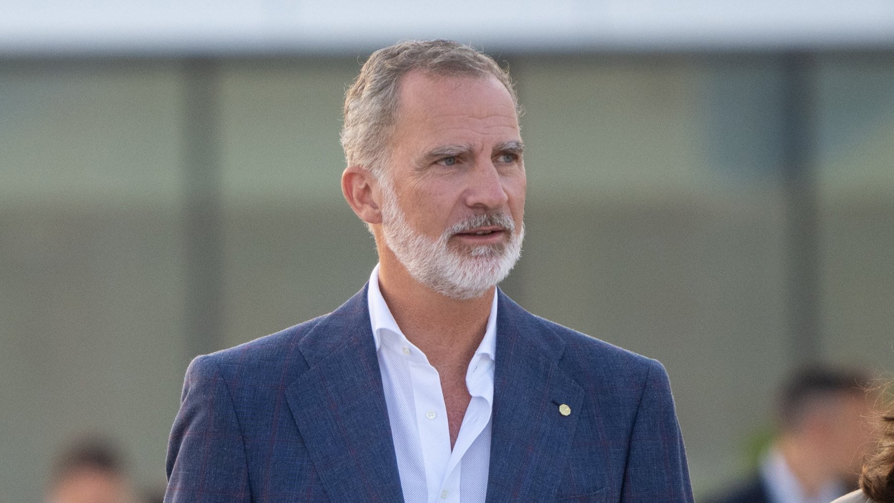 Felipe VI. (Foto: EP)