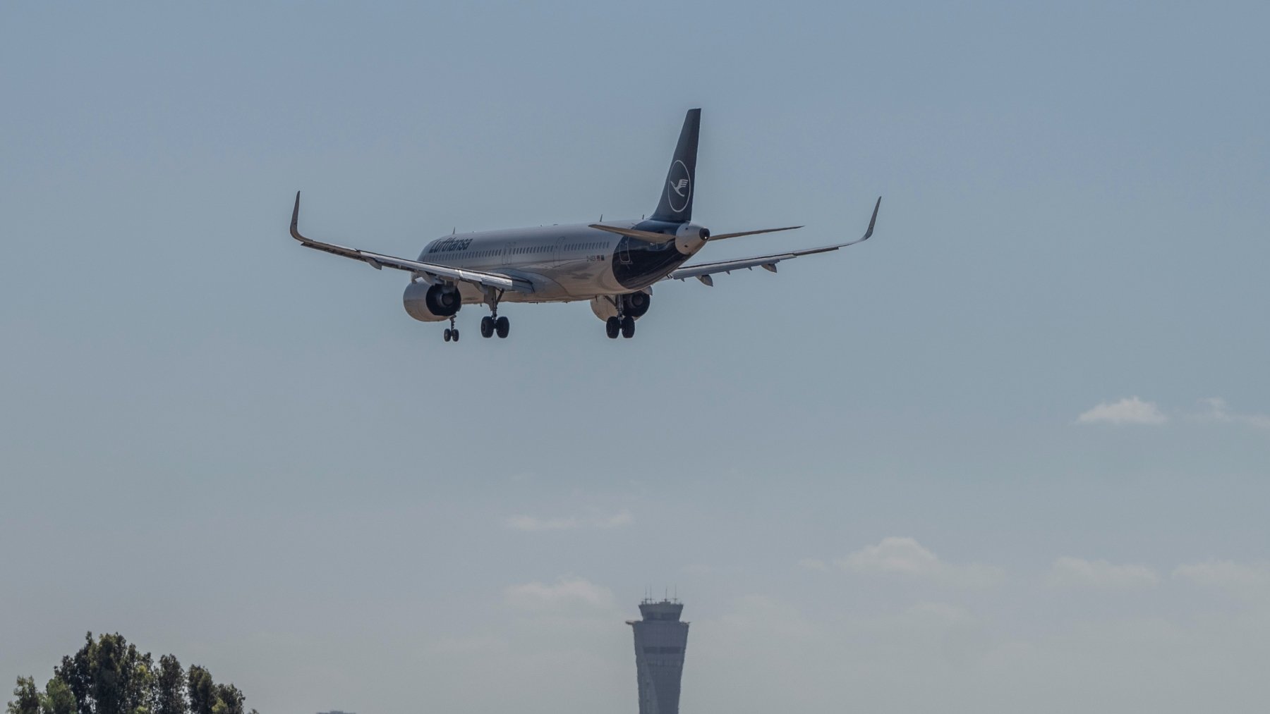 Avión de Lufthansa. (Ilia Yefimovich/dpa)