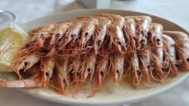 Gambas a la plancha, comida, platos, restaurantes