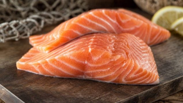 salmón OCU