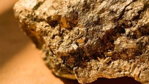 yacimiento de oro y cobre en Brasil