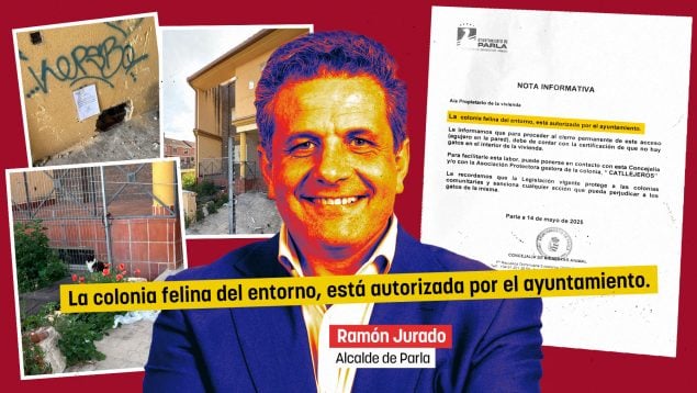 El PSOE de Parla bloquea el desalojo de gatos que 'okupan' viviendas privadas