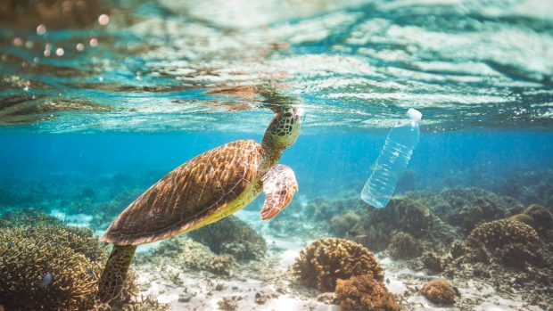Los plásticos contaminan gravemente el medioambiente. 