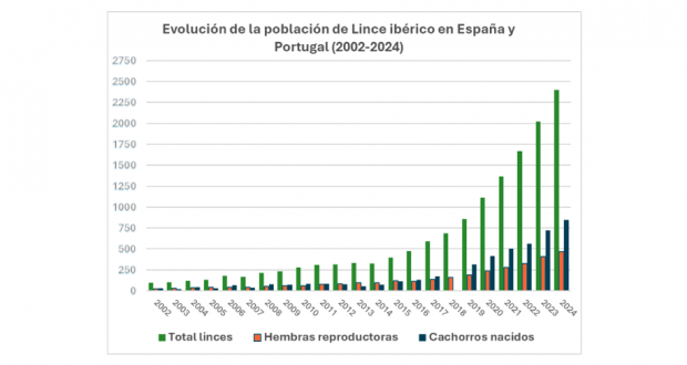 evolución lince españa