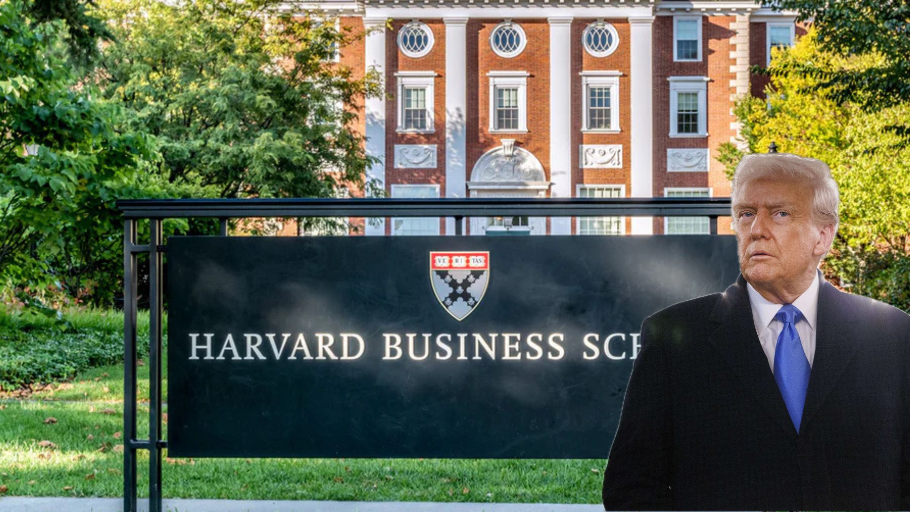 Trump y Harvard.