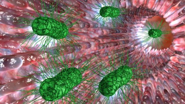 Bacterias y tumores