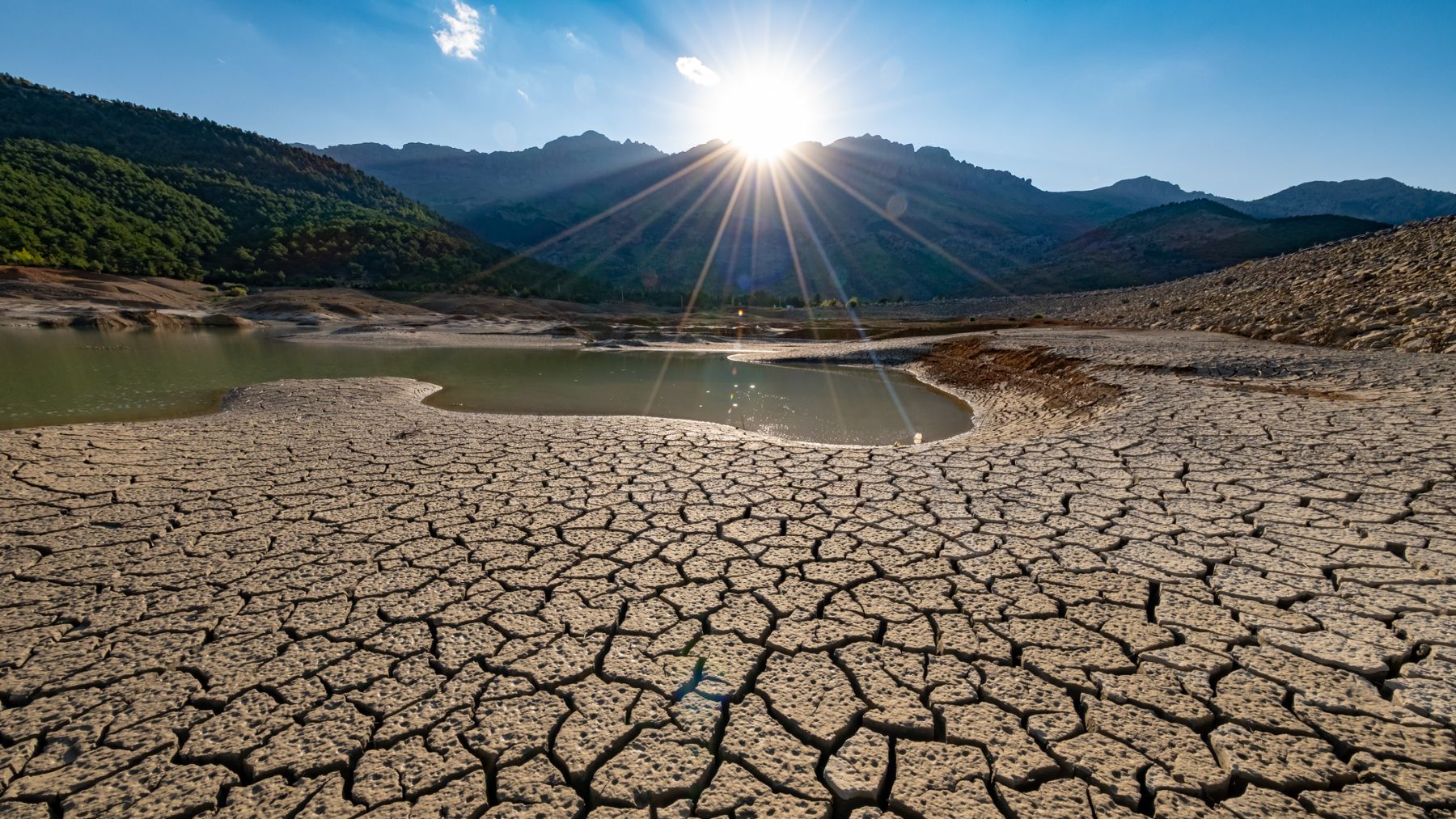 Naciones Unidas pide restaurar 1.500 millones de hectáreas de tierras degradadas.