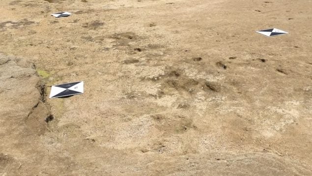 Playa, huella, arena, descubrimiento