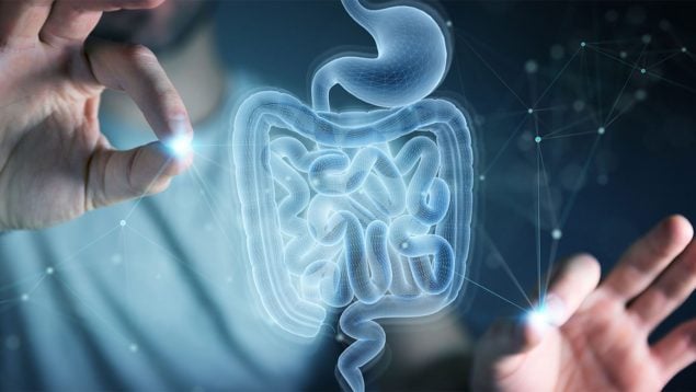 microbiota