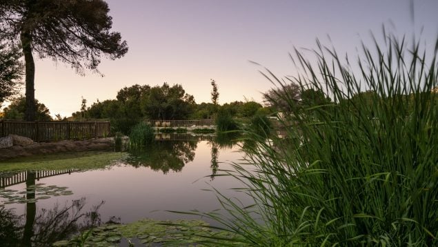naturaleza