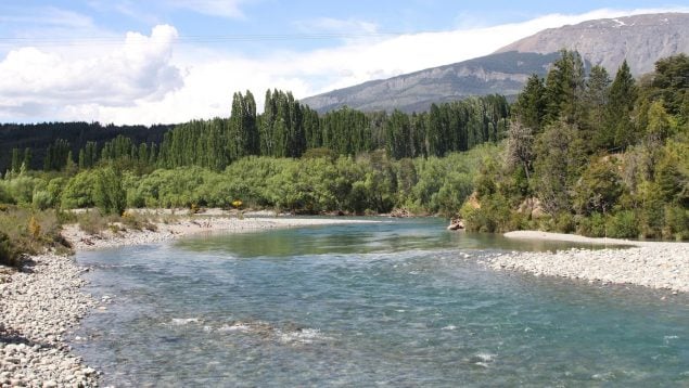 Un estudio científico demuestra que los ríos españoles están en peligro por culpa de los pesticidas, glifosato en los ríos españoles, aviso de ecologistas en acción sobre los ríos de España, pesticidas en el Tajo, pesticidas en el río Ebro.