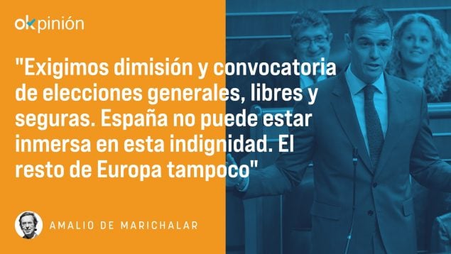 Pedro Sánchez