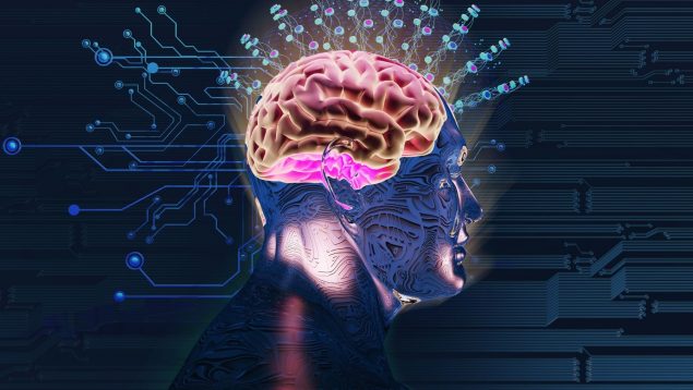Actividad que más estimula el cerebro