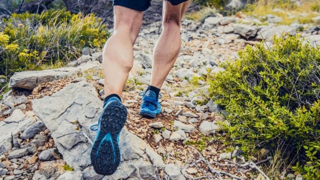 decathlon, salomon