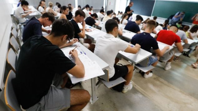 selectividad horarios Castilla y León