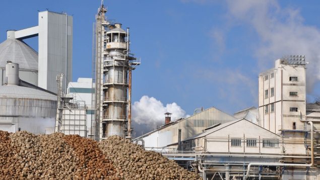 Planta de La Bañeza, León, Azucarera, ere, empleados, despidos, cierre de fábrica