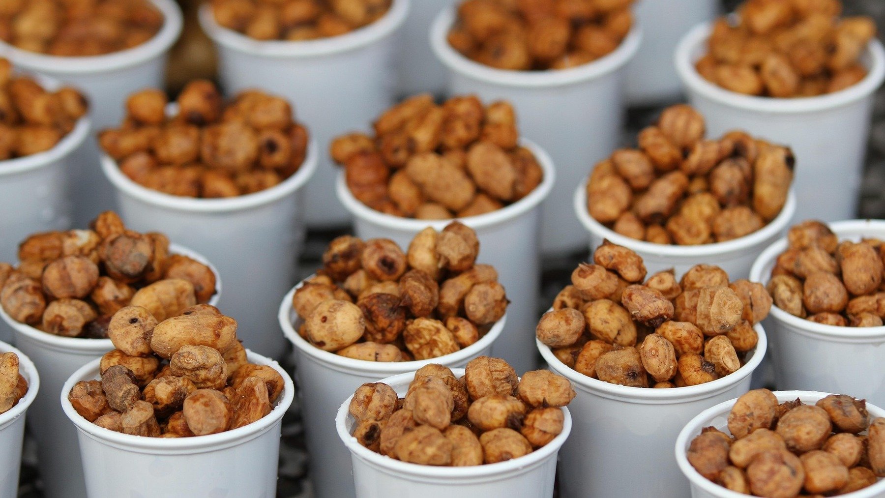 Chufas de la horchata.
