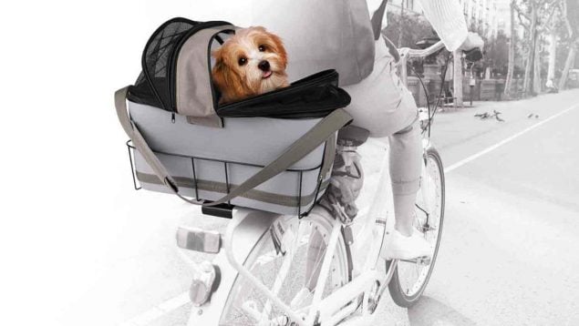Lidl perro
