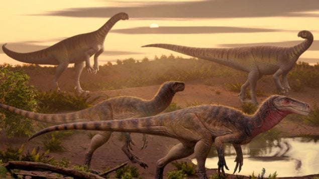 Dinosaurio, descubrimiento, India