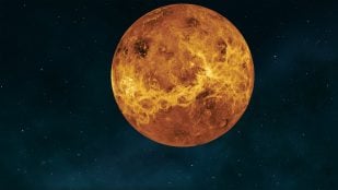 Ilustración gráfica de Venus