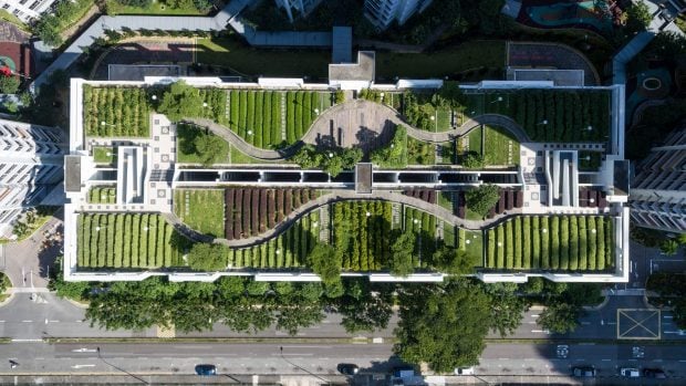Jardín en azotea