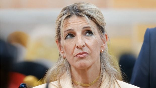 Yolanda Díaz, smi, salario medio, salario mínimo, sueldo más frecuente, paro, subsidio, agricultores, smi, protestas, huelgas, trabajo, manifestaciones, cortes de carreteras, tractores, tractoradas