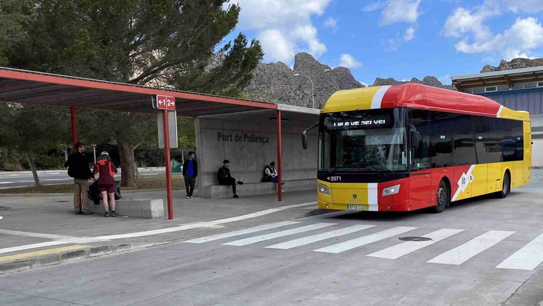 Un bus del TIB en el Port de Pollença.