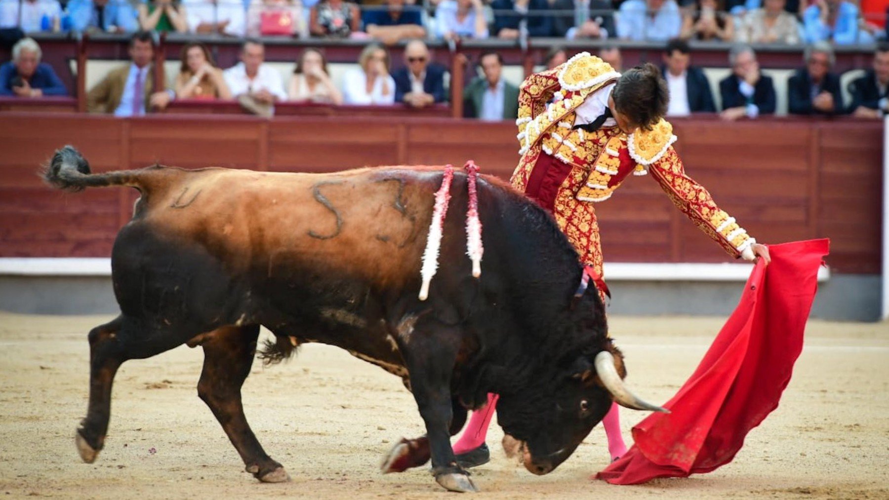 Roca Rey el 29 de mayo en San Isidro con el quinto toro. (Foto_ Plaza 1)