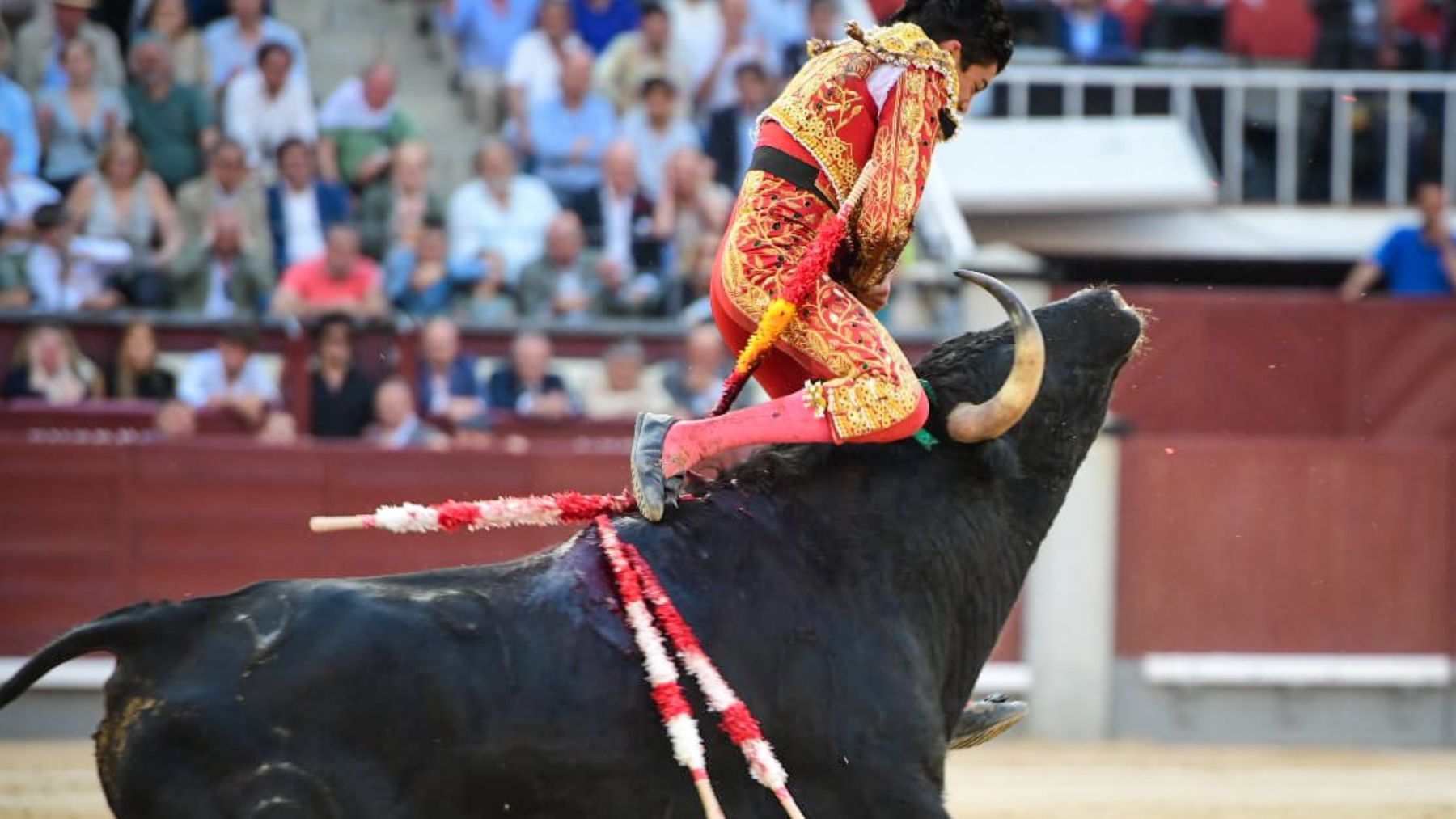 Cogida a Marco Pérez.