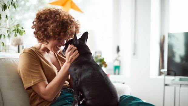 Una empresa española ofrece tres días de permiso retribuido por muerte de la mascota