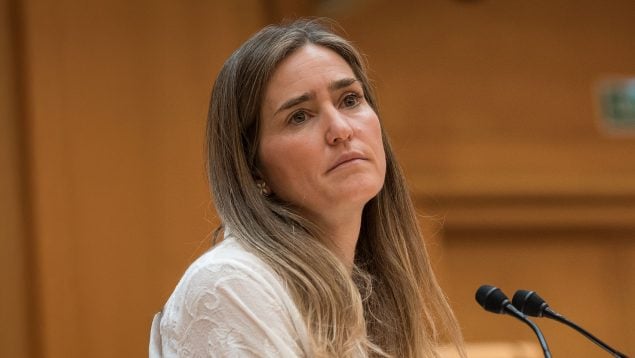 apagón, eléctricas, Gobierno