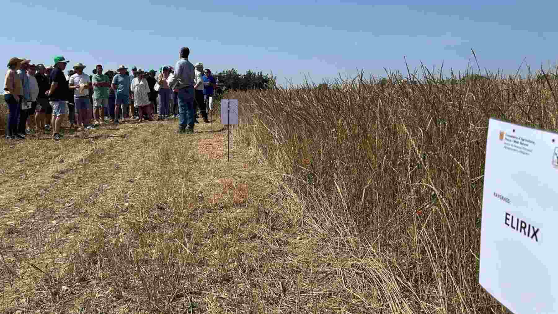 Agricultores de cereales de Mallorca participan en una jornada de balance de la temporada de 2025. ASAJA-BALEARES