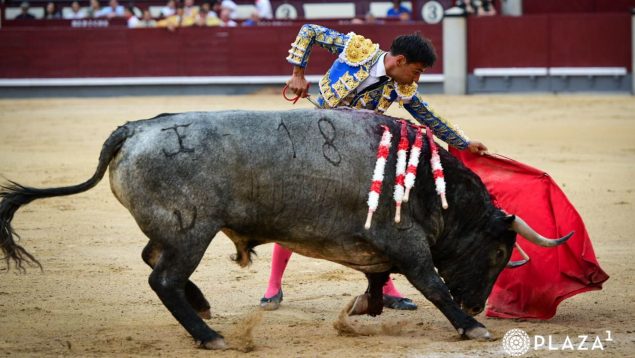 Gómez del Pilar, Las Ventas, San Isidro