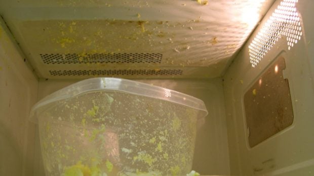 Los táperes de plásticos son una fuente potencial de toxicidad. 