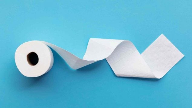 Sustito del papel higiénico