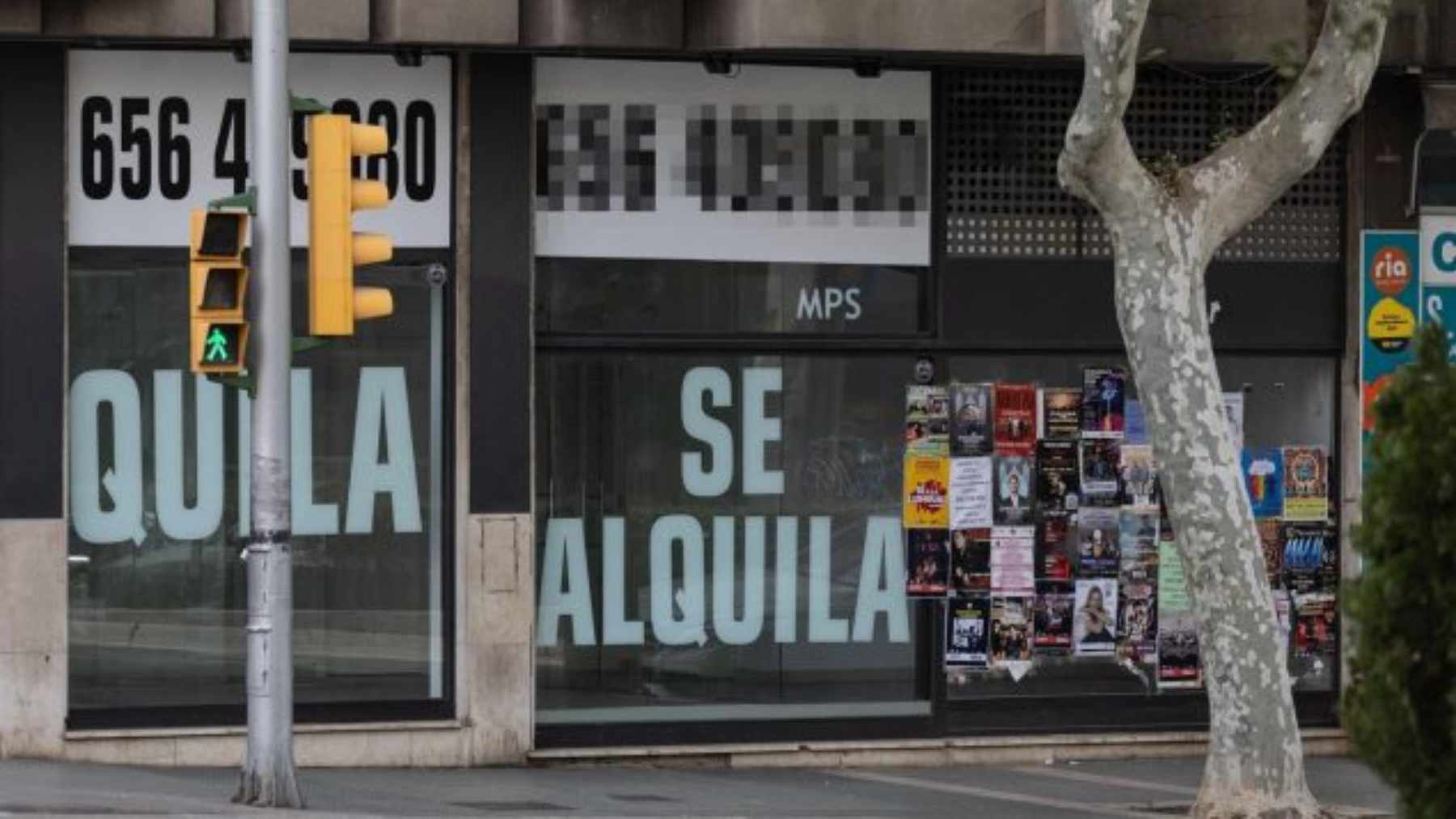 Local en alquiler. E.P.